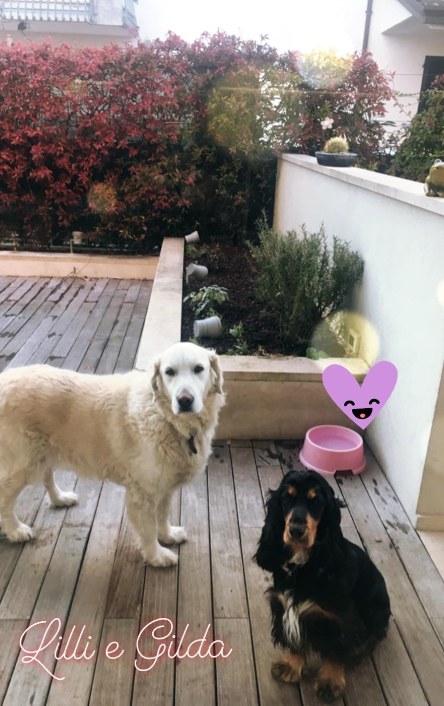 Lilli e Gilda · gli amici a quattro zampe di Villa Elia